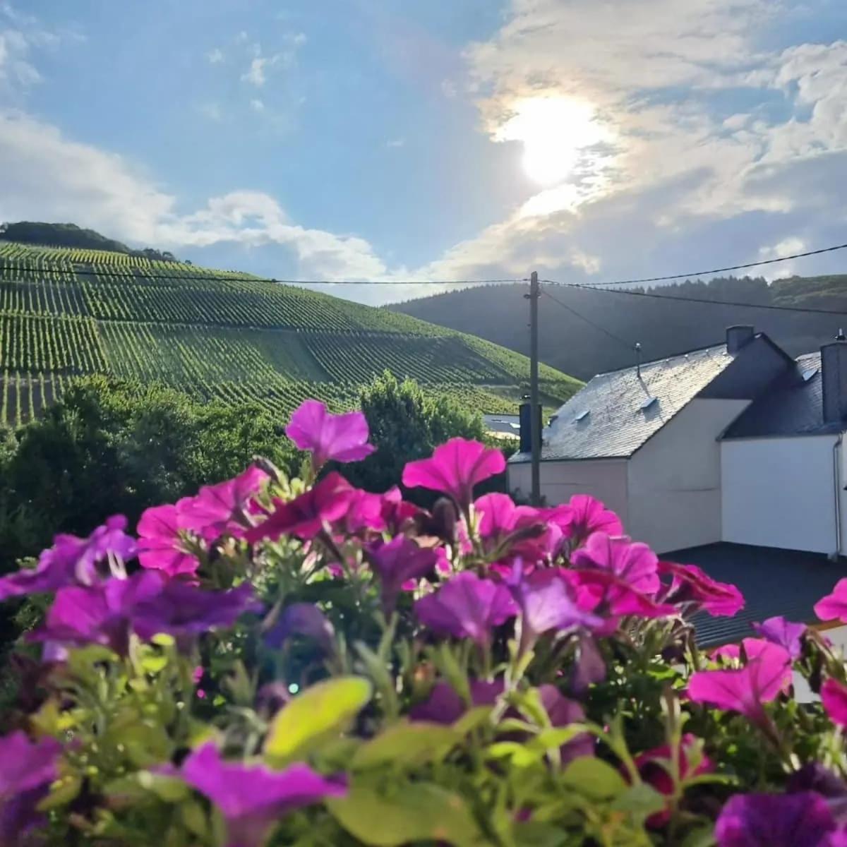 Gasthof Zur Grafschaft Veldenz Eksteriør bilde